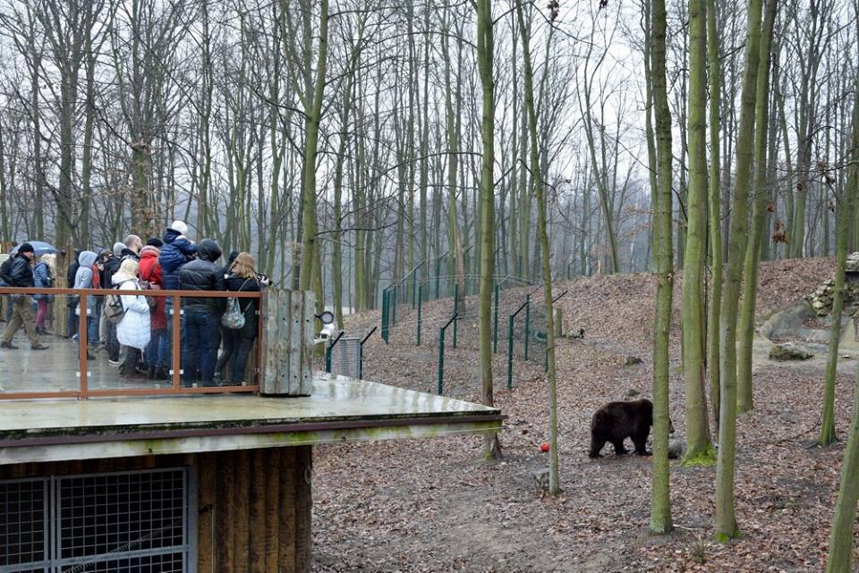 Фото с сайта Познаньского зоопарка