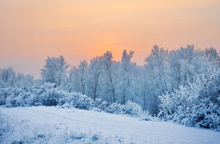 Польша Зимой Фото