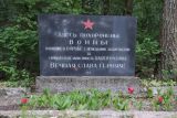 Кладбище Пила-Лешкув